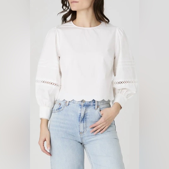 🆕 French Connection Alissa Lace Top sz. XL - Picture 1 of 8